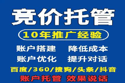 精选案例分享：SEM代运营公司效果展示